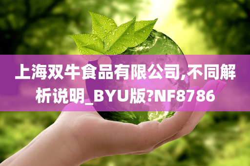 上海双牛食品有限公司,不同解析说明_BYU版?NF8786