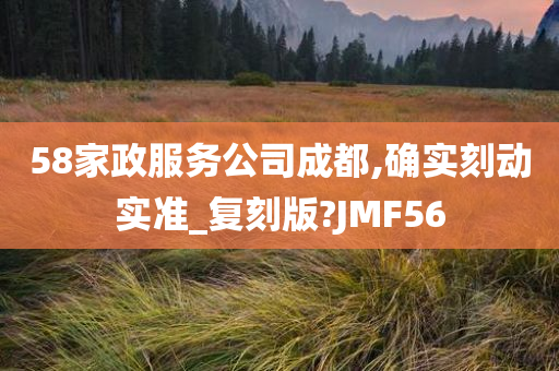 58家政服务公司成都,确实刻动实准_复刻版?JMF56