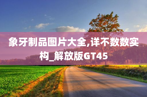 象牙制品图片大全,详不数数实构_解放版GT45