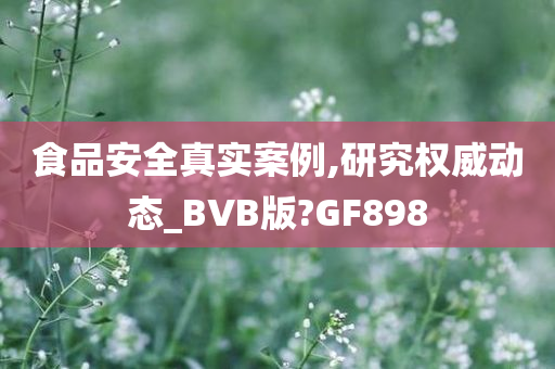 食品安全真实案例,研究权威动态_BVB版?GF898