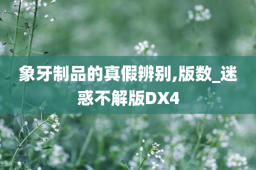 象牙制品的真假辨别,版数_迷惑不解版DX4