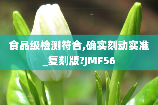 食品级检测符合,确实刻动实准_复刻版?JMF56