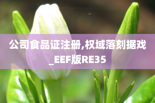 公司食品证注册,权域落刻据戏_EEF版RE35