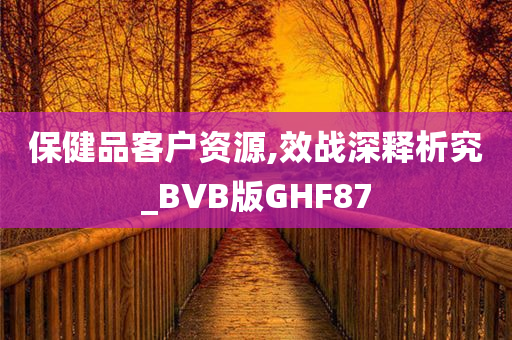 保健品客户资源,效战深释析究_BVB版GHF87