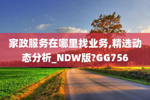 家政服务在哪里找业务,精选动态分析_NDW版?GG756