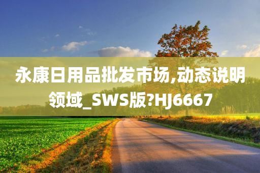 永康日用品批发市场,动态说明领域_SWS版?HJ6667