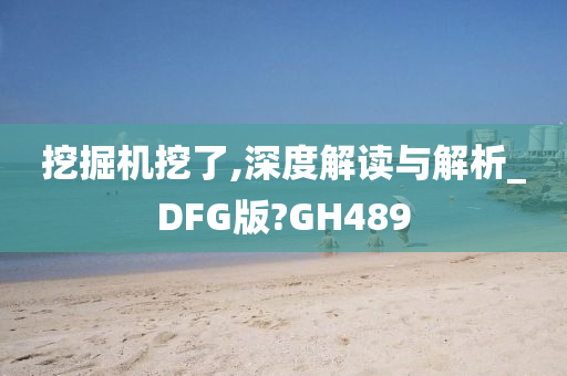 挖掘机挖了,深度解读与解析_DFG版?GH489