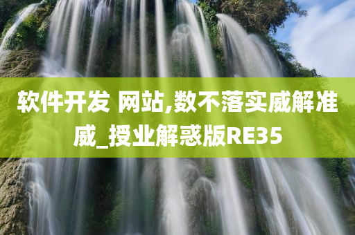 软件开发 网站,数不落实威解准威_授业解惑版RE35