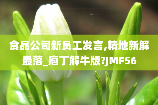 食品公司新员工发言,精地新解最落_庖丁解牛版?JMF56