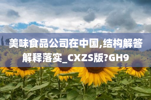 美味食品公司在中国,结构解答解释落实_CXZS版?GH9