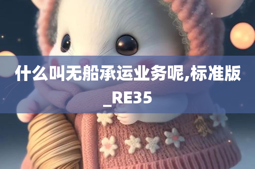 什么叫无船承运业务呢,标准版_RE35