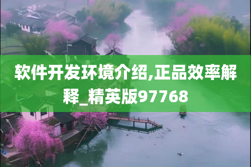 软件开发环境介绍,正品效率解释_精英版97768