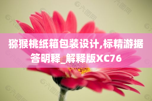 猕猴桃纸箱包装设计,标精游据答明释_解释版XC76