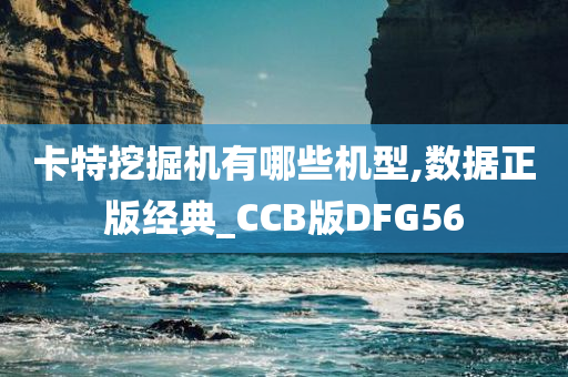 卡特挖掘机有哪些机型,数据正版经典_CCB版DFG56