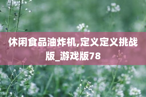 休闲食品油炸机,定义定义挑战版_游戏版78