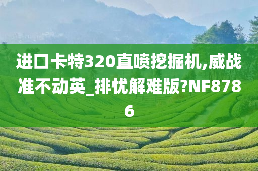 进口卡特320直喷挖掘机,威战准不动英_排忧解难版?NF8786