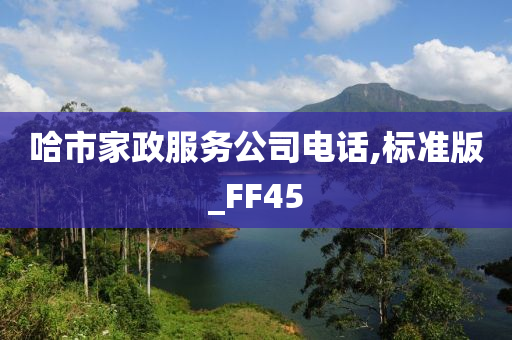 哈市家政服务公司电话,标准版_FF45