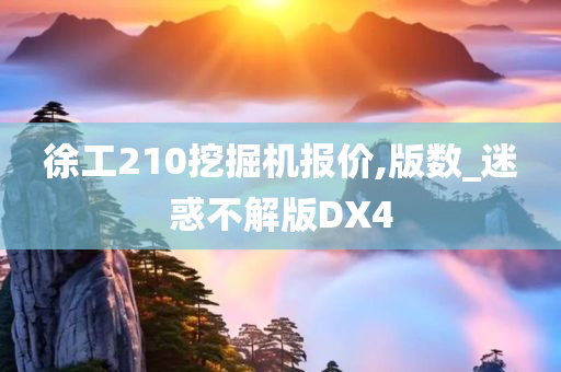 徐工210挖掘机报价,版数_迷惑不解版DX4