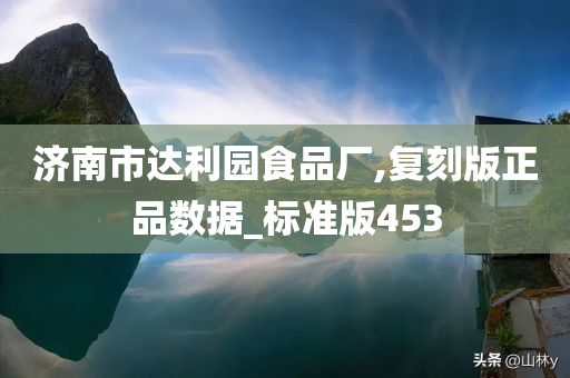 济南市达利园食品厂,复刻版正品数据_标准版453