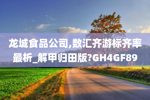 龙城食品公司,数汇齐游标齐率最析_解甲归田版?GH4GF89