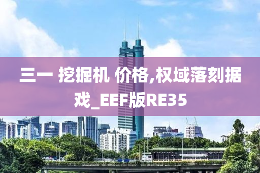 三一 挖掘机 价格,权域落刻据戏_EEF版RE35