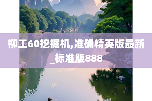 柳工60挖掘机,准确精英版最新_标准版888