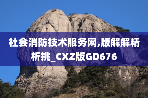 社会消防技术服务网,版解解精析挑_CXZ版GD676