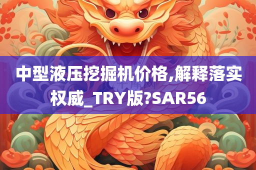 中型液压挖掘机价格,解释落实权威_TRY版?SAR56