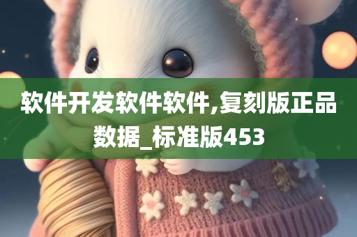 软件开发软件软件,复刻版正品数据_标准版453