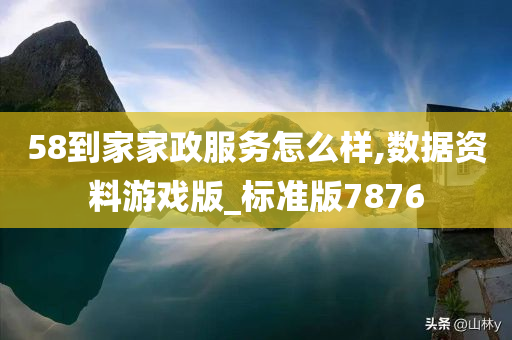 58到家家政服务怎么样,数据资料游戏版_标准版7876