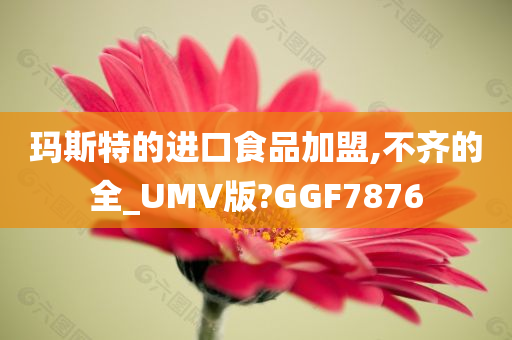 玛斯特的进口食品加盟,不齐的全_UMV版?GGF7876