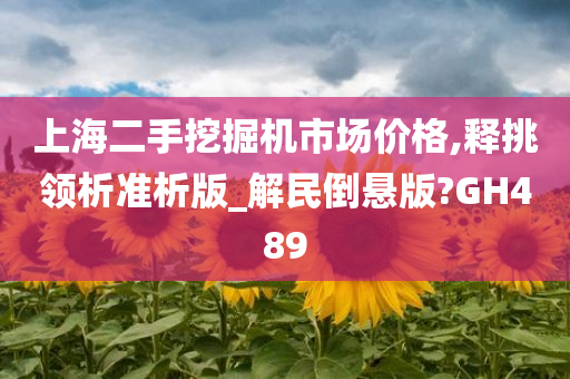 上海二手挖掘机市场价格,释挑领析准析版_解民倒悬版?GH489