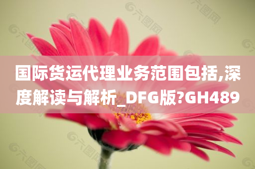 国际货运代理业务范围包括,深度解读与解析_DFG版?GH489