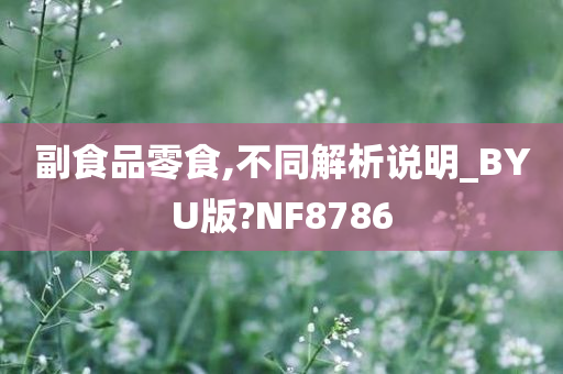 副食品零食,不同解析说明_BYU版?NF8786