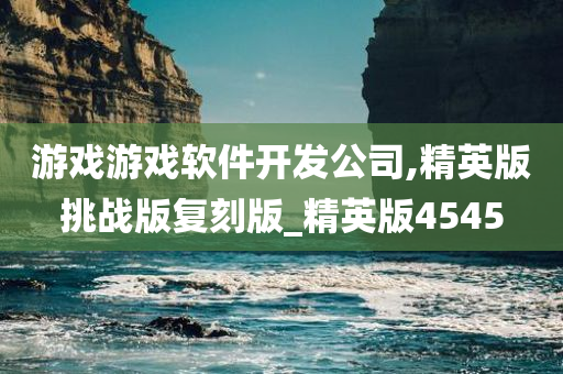 游戏游戏软件开发公司,精英版挑战版复刻版_精英版4545