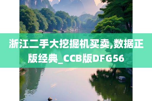 浙江二手大挖掘机买卖,数据正版经典_CCB版DFG56