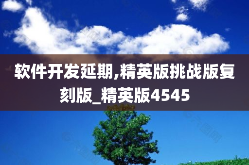 软件开发延期,精英版挑战版复刻版_精英版4545