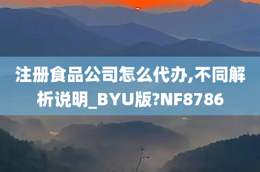 注册食品公司怎么代办,不同解析说明_BYU版?NF8786