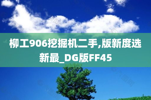 柳工906挖掘机二手,版新度选新最_DG版FF45