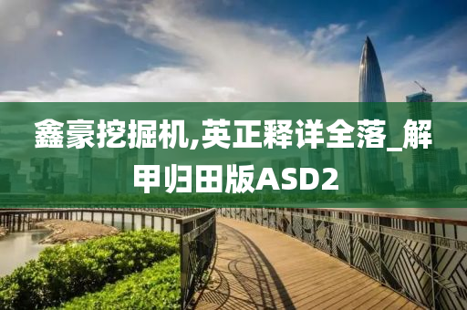 鑫豪挖掘机,英正释详全落_解甲归田版ASD2