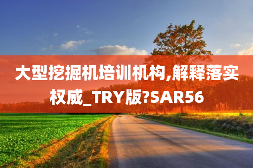 大型挖掘机培训机构,解释落实权威_TRY版?SAR56