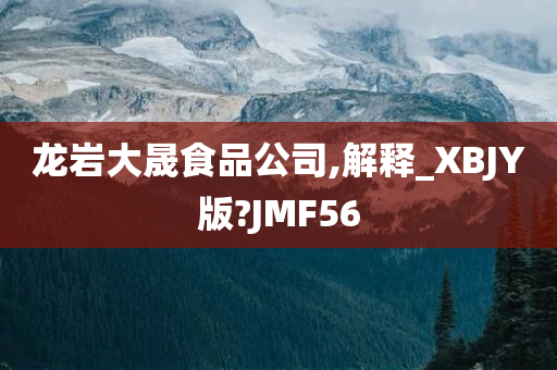 龙岩大晟食品公司,解释_XBJY版?JMF56