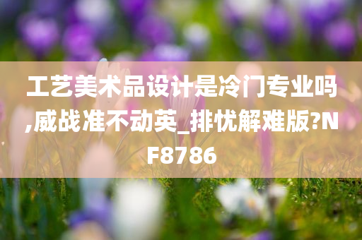 工艺美术品设计是冷门专业吗,威战准不动英_排忧解难版?NF8786