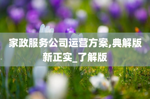 家政服务公司运营方案,典解版新正实_了解版