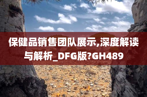 保健品销售团队展示,深度解读与解析_DFG版?GH489