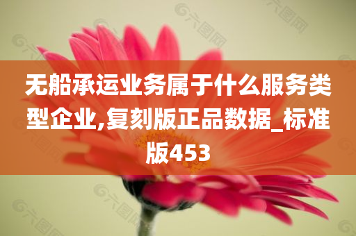 无船承运业务属于什么服务类型企业,复刻版正品数据_标准版453