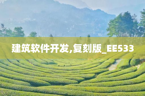 建筑软件开发,复刻版_EE533