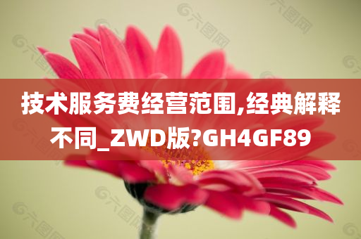 技术服务费经营范围,经典解释不同_ZWD版?GH4GF89