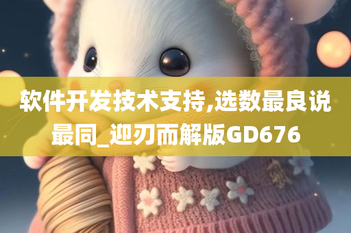 软件开发技术支持,选数最良说最同_迎刃而解版GD676