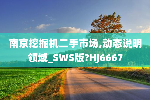 南京挖掘机二手市场,动态说明领域_SWS版?HJ6667